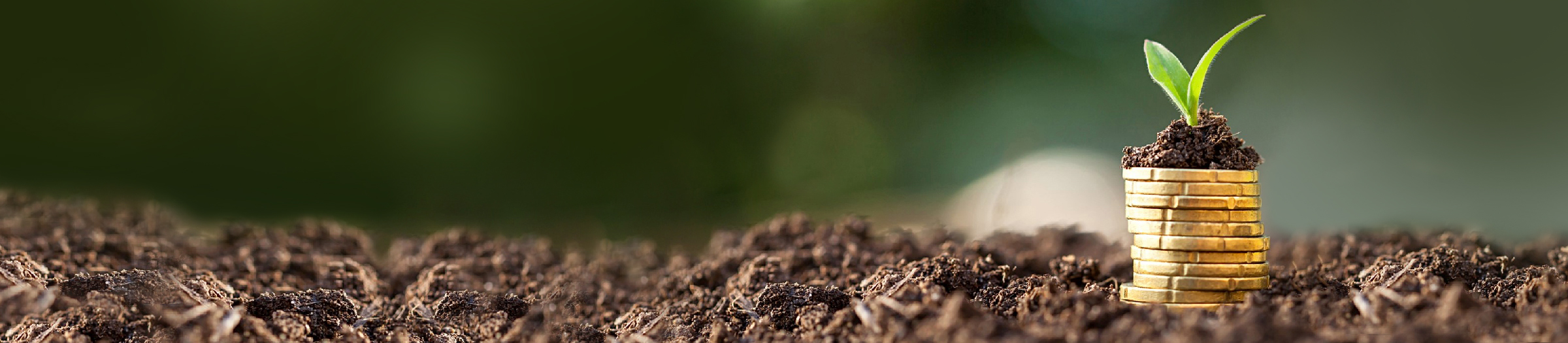 Service-banner-image